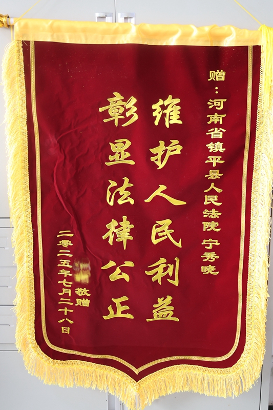 河南省南阳市镇平县法院：八年干戈化玉帛 云端调解润玉商