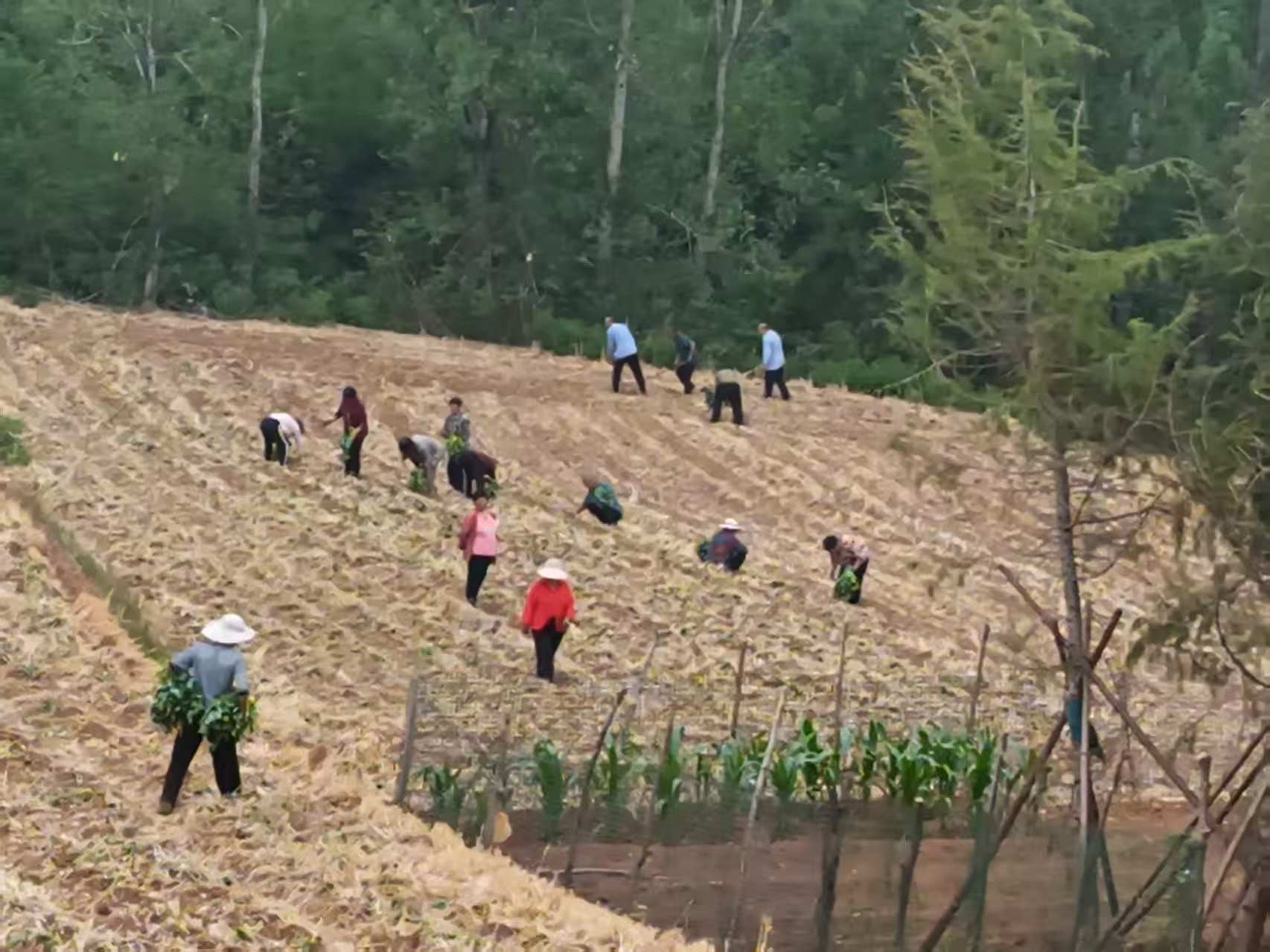 微信图片_20250616105251.jpg 微信图片_20250616105251.jpg