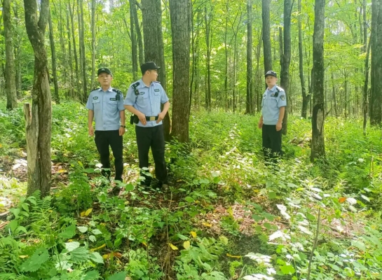 微信截图_20250808113422.png 微信截图_20250808113422.png