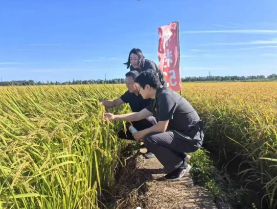 微信截图_20250808094843.png 微信截图_20250808094843.png