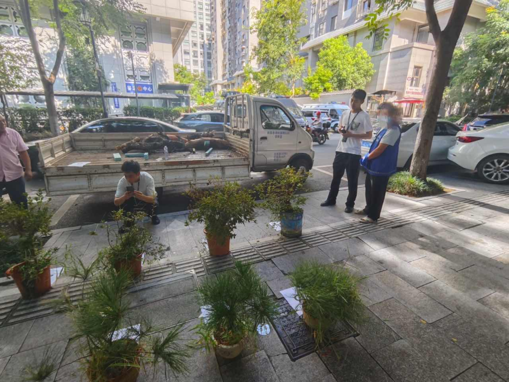 浙江省景宁县公安局东坑派出所成功收网一起景观树盗窃案