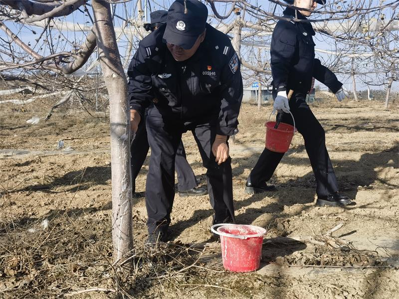 陕西志丹县公安局森林警察大队：巡逻路上护树涂白 民警变身“粉刷匠”