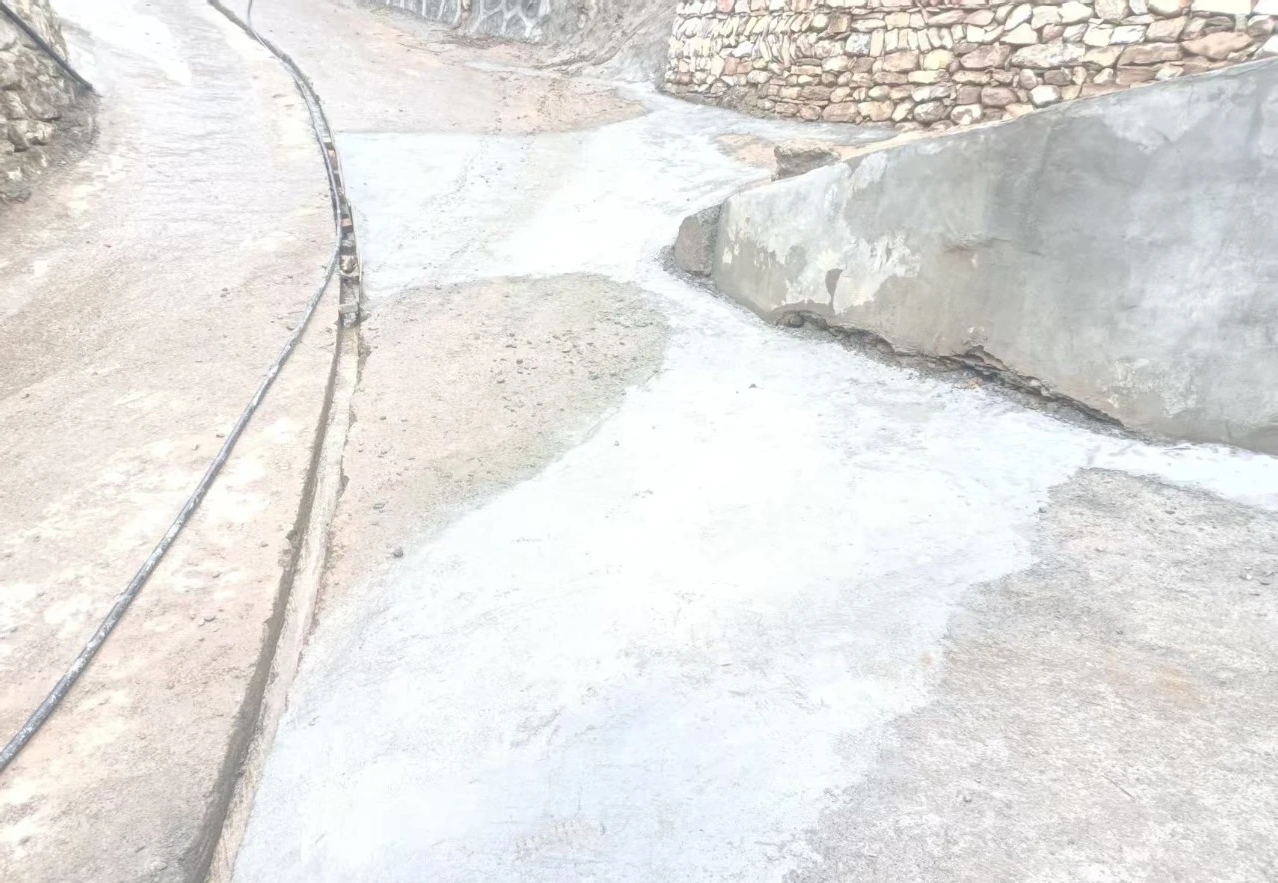 21.jpg 21.jpg
