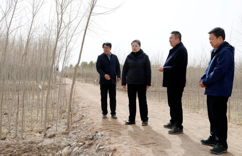 甘肃省张掖市临泽县委副书记、县长秦楠调研造林绿化和防沙治沙工作