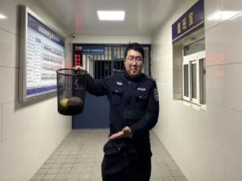 预防警务 警民携手,连续救助三只保护动物707.png