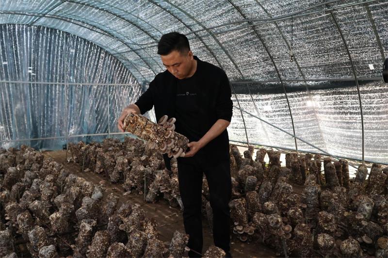 图片1_看图王.jpg