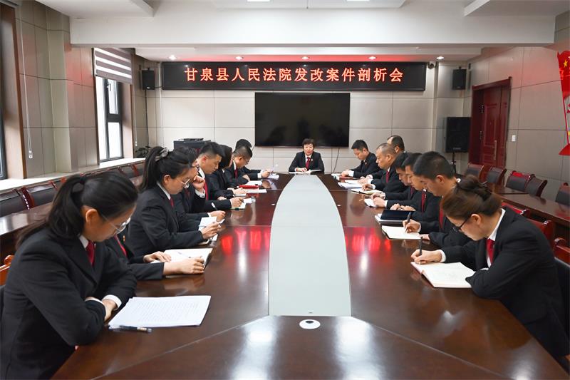 深挖问题根源 提升审判质效丨陕西延安市甘泉县法院召开发改案件剖析会