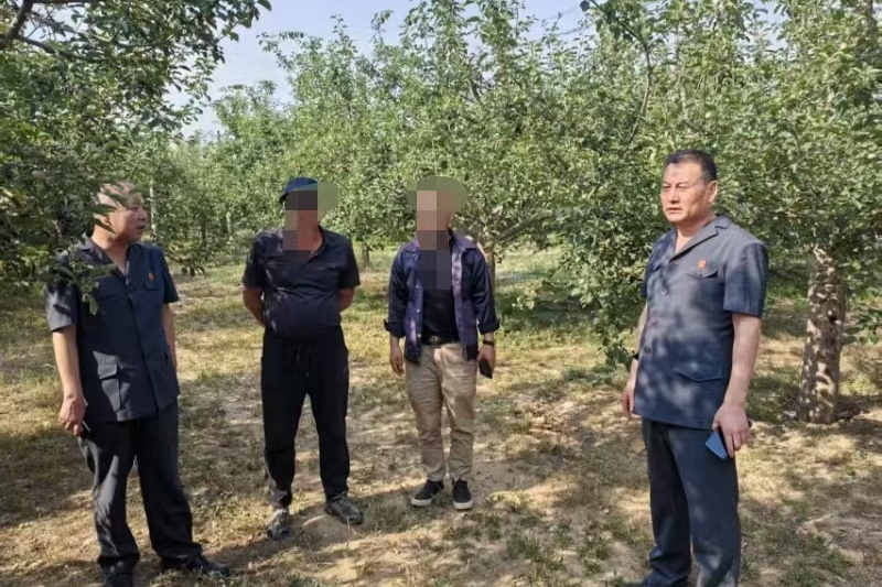陕西延安市洛川县法院：果园承包诉公堂 联动解纷促和谐 ​ 