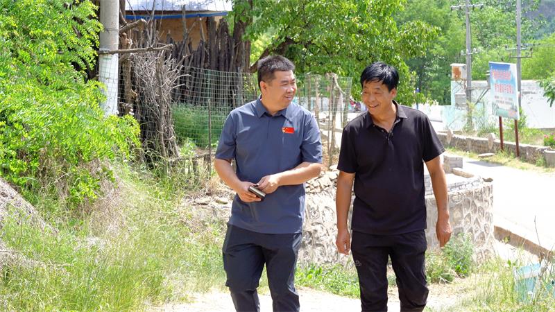 陕西延安市宜川县第一书记冯轩：崖底种“金药” 蹚出振兴路