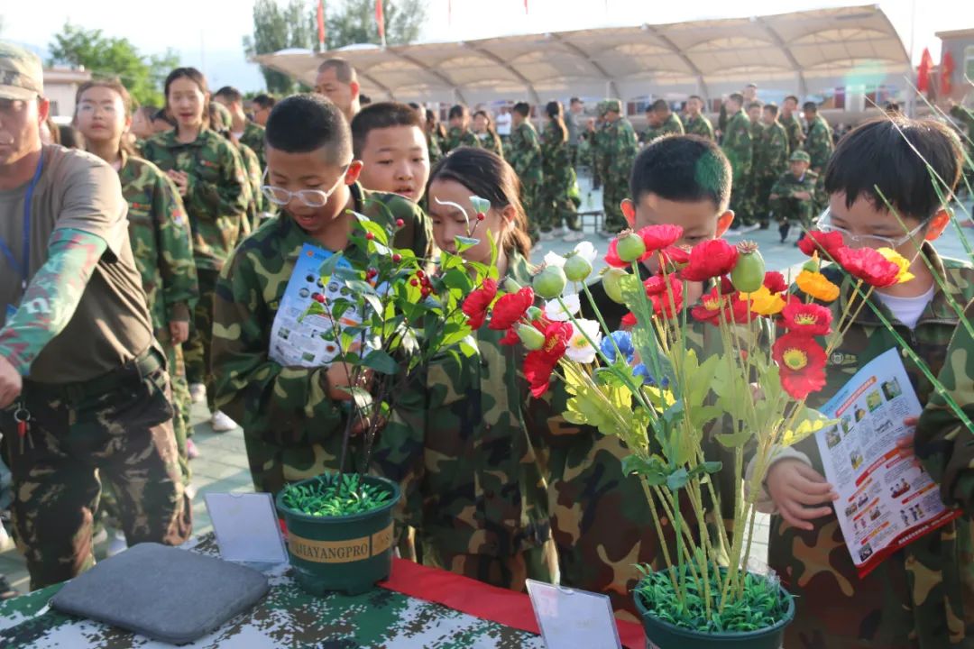 29.jpg 29.jpg