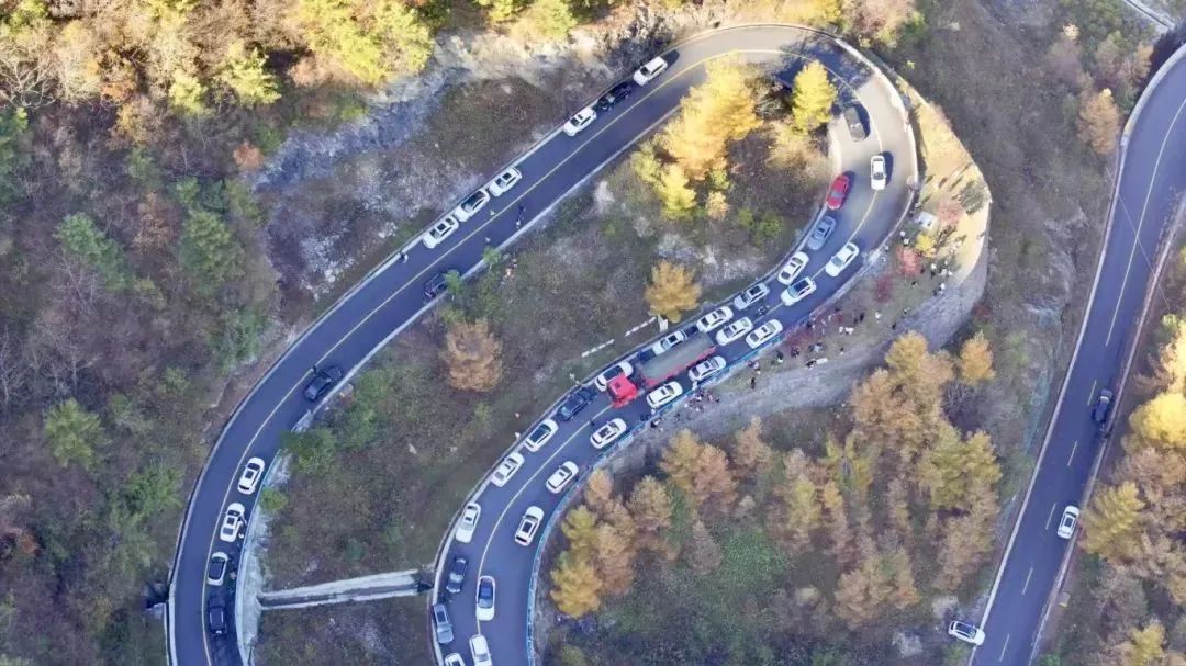 陕西镇坪公安： 红叶里的一道靓丽风“警”