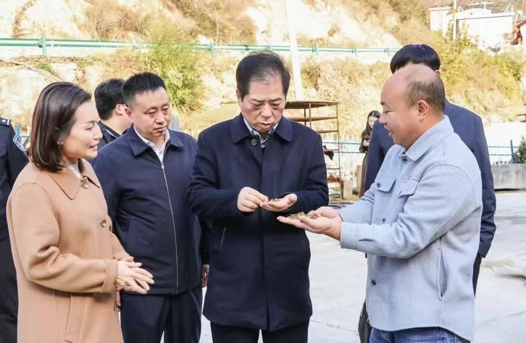微信图片_20250204094519.jpg 微信图片_20250204094519.jpg