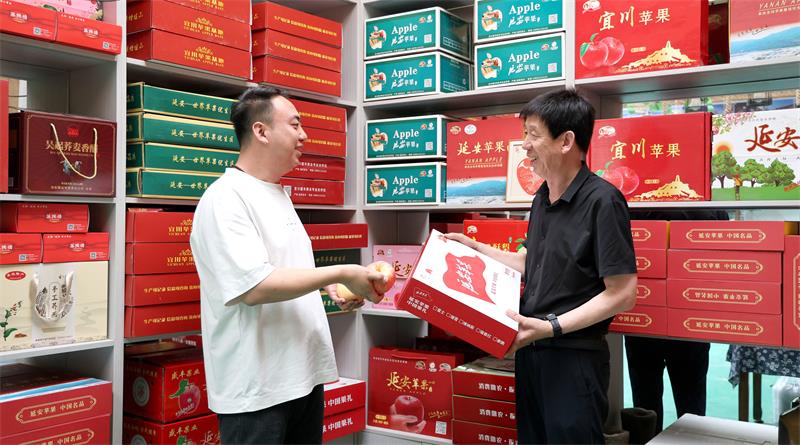 呼永祥、呼鹏正在商讨夏季苹果销售。_proc.jpg