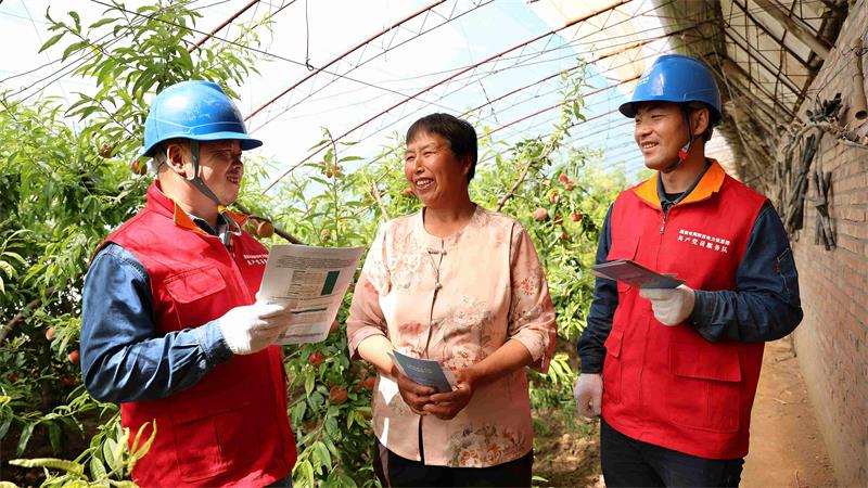 工作人员在水蜜桃种植棚内宣讲安全用电知识。_proc.jpg