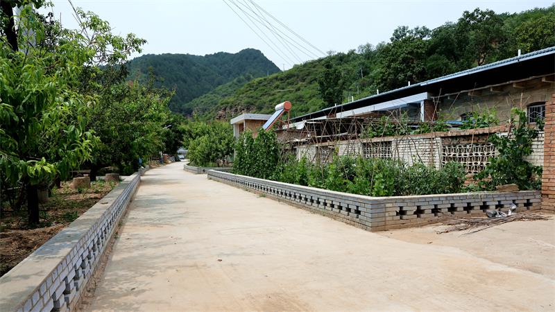 宜川县集义镇桌里村村民家门前巷道干净整洁。_proc.jpg