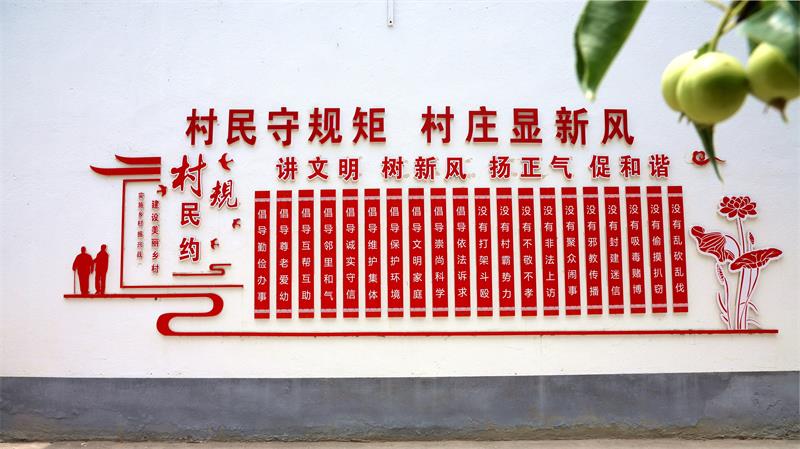 桌里村的村规民约_proc.jpg
