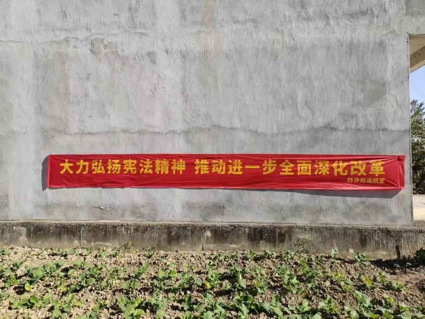湖北省阳新县白沙司法所：开展国家宪法日宣传活动