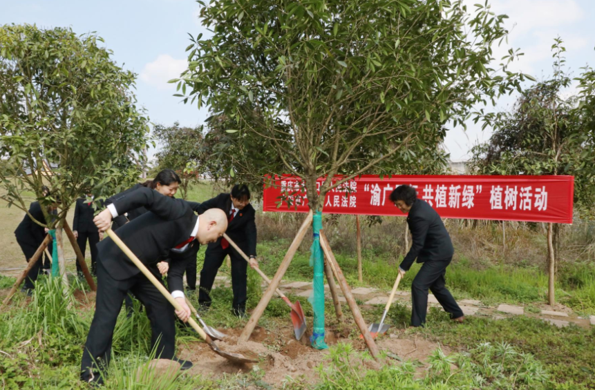 QQ图片20250312190956.png QQ图片20250312190956.png