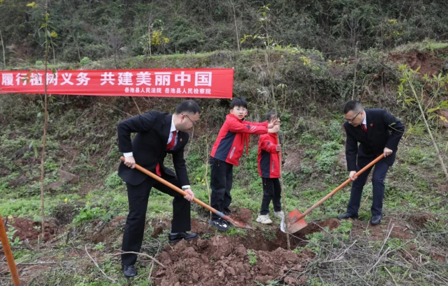 QQ图片20250312192041.png QQ图片20250312192041.png