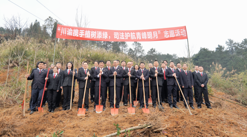 QQ图片20250317205450.png QQ图片20250317205450.png
