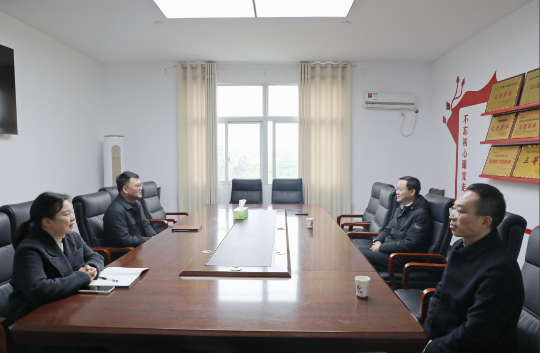 四川广安市广安区法院党组书记、院长王海波到龙台镇和石笋镇调研指导工作