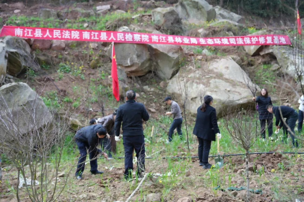 四川南江县检察院：司法守护绿水青山  聚力共助生态振兴