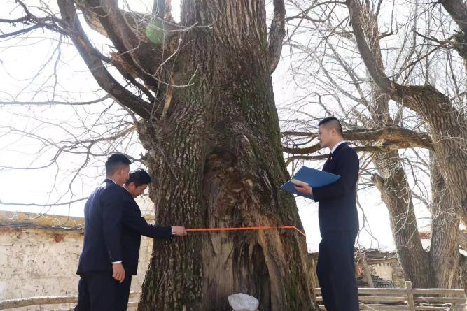 四川甘孜州：以法之名，守护理塘的生态、文化与民生