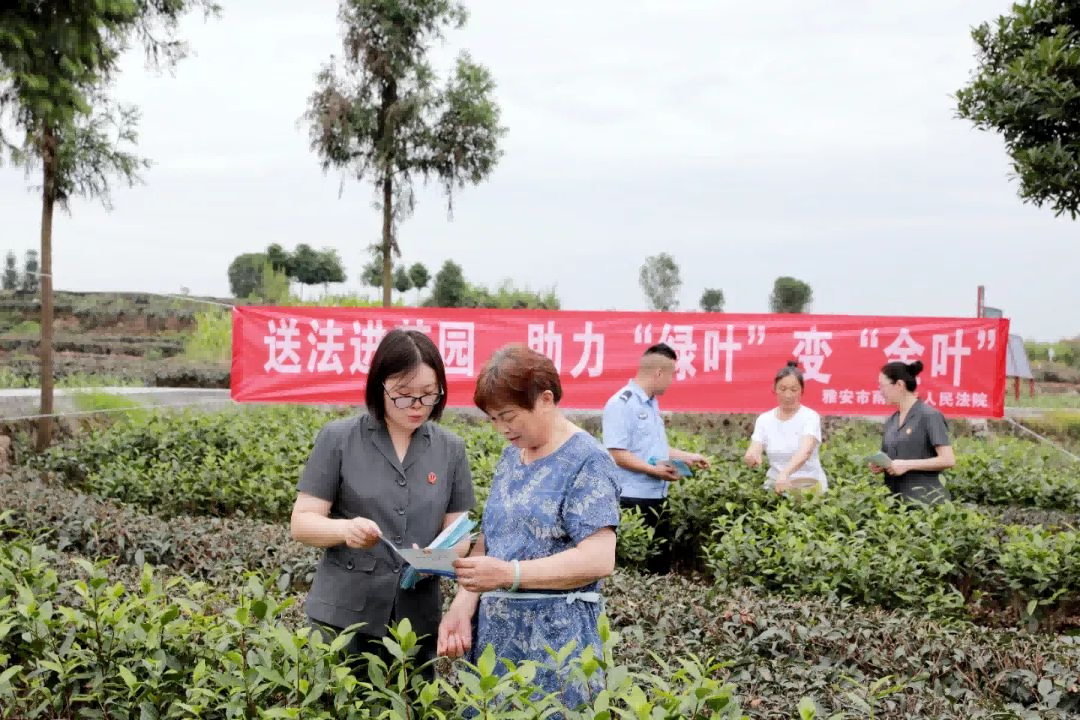 图片2(1).png 图片2(1).png