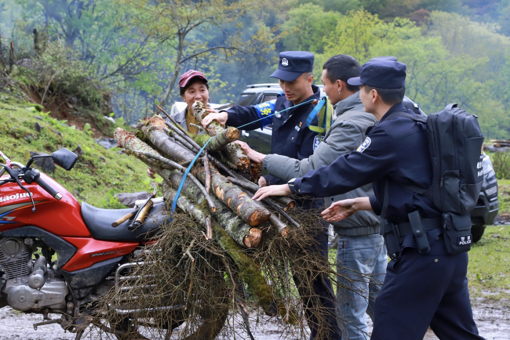 四川峨边：警务前移护笋山 生态经济绘就乡村振兴新“丰”景