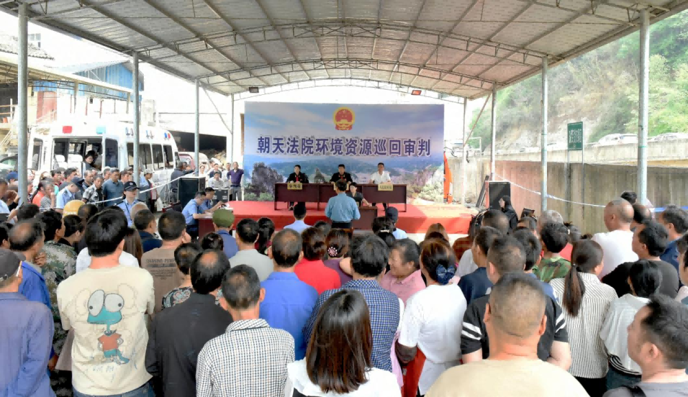 私设电网难逃“法网”——广元市朝天区法院巡回审理一起非法狩猎案