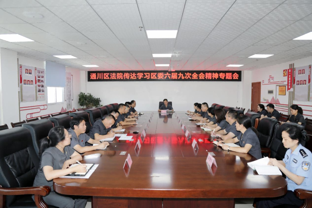 四川通川区法院专题传达学习区委六届九次全会精神