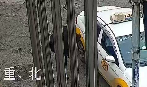 微信图片_20241220104358.jpg