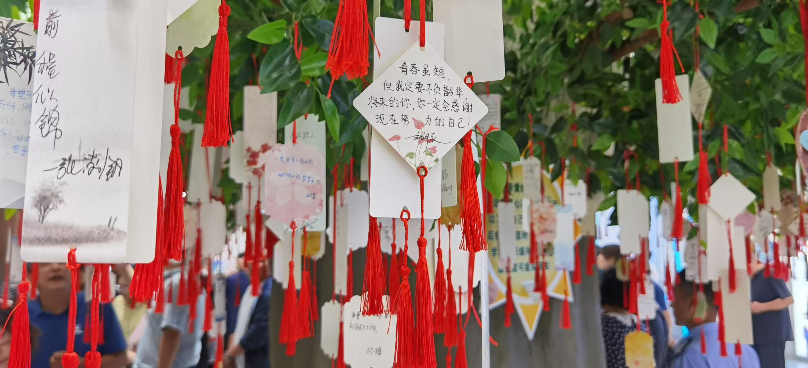 微信图片_20250208104803.jpg 微信图片_20250208104803.jpg