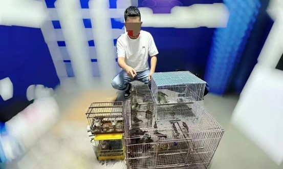 图片2.jpg 图片2.jpg