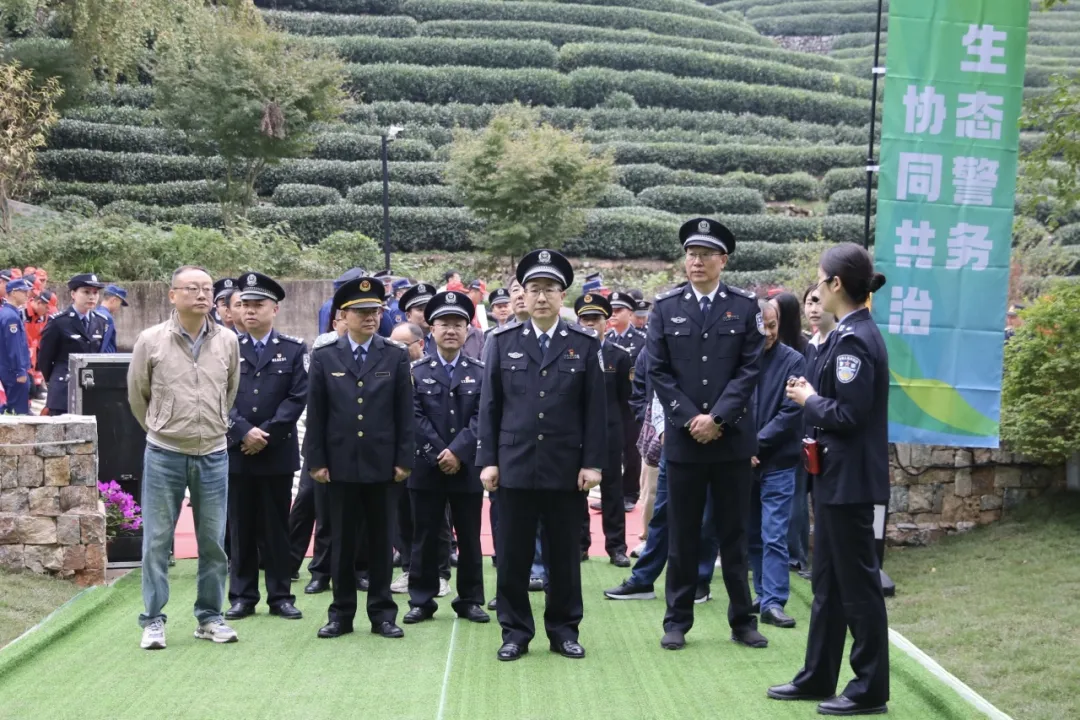 图片33.png 图片33.png