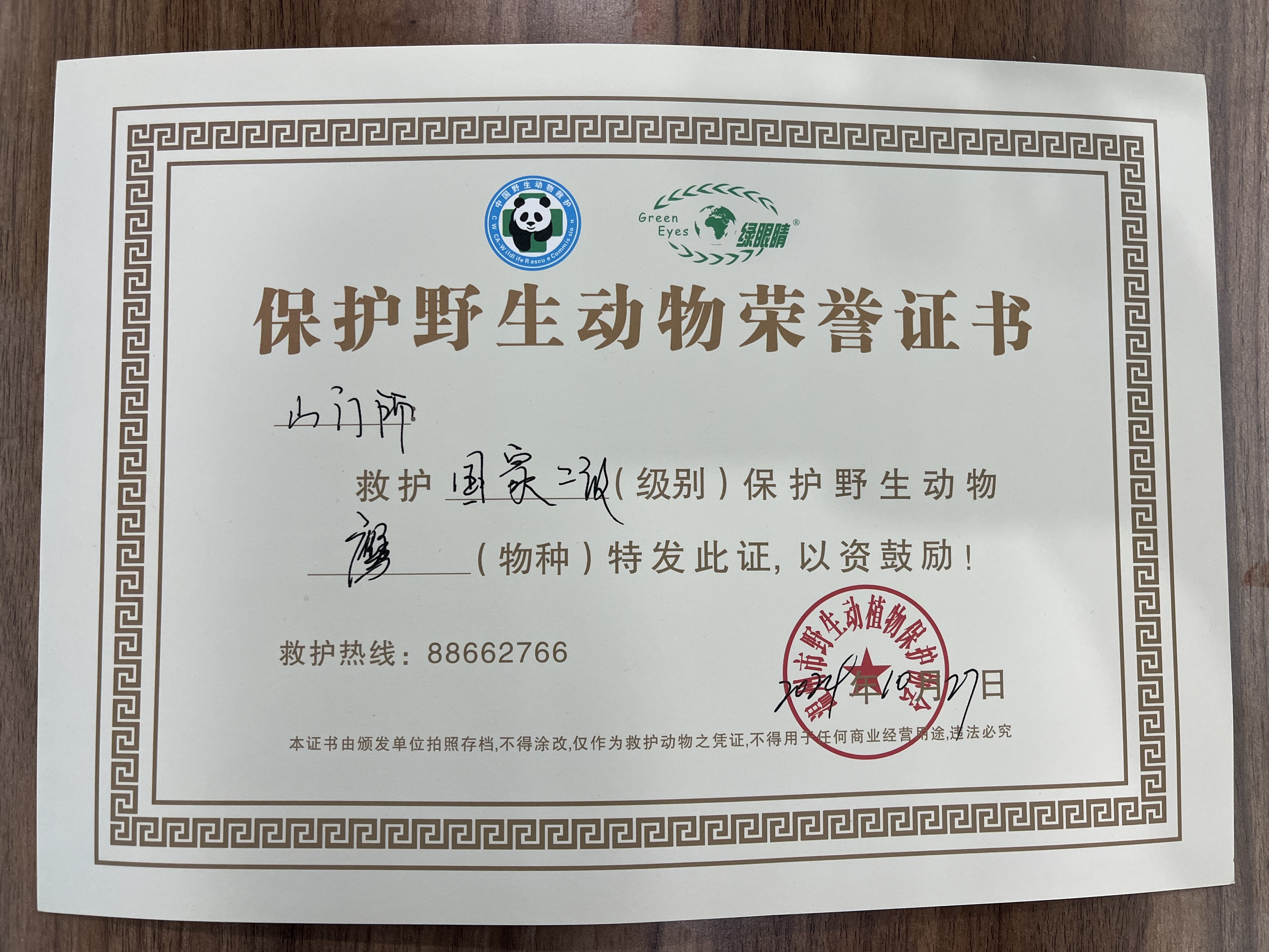 山门所救助鹰 (2).jpg