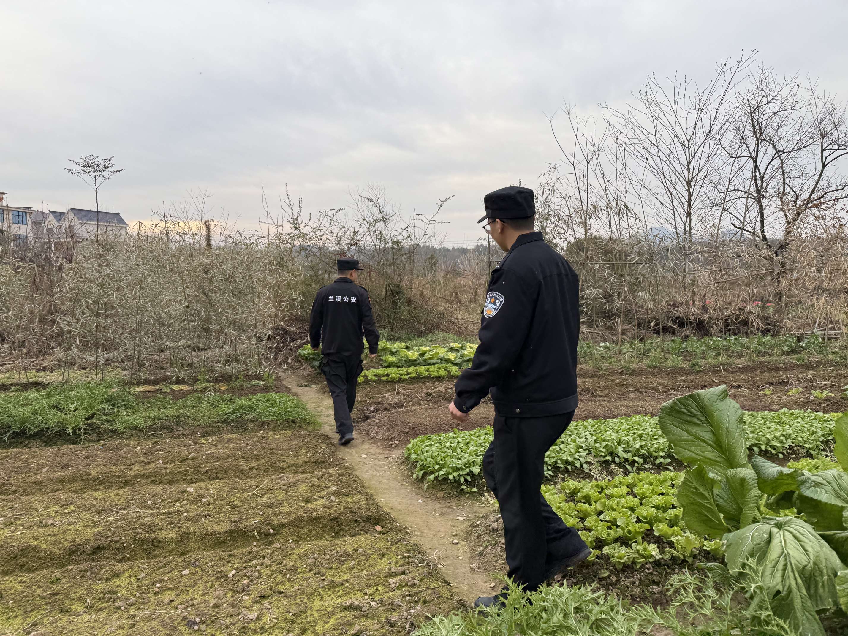 化身“田野侦探”.jpg 化身“田野侦探”.jpg