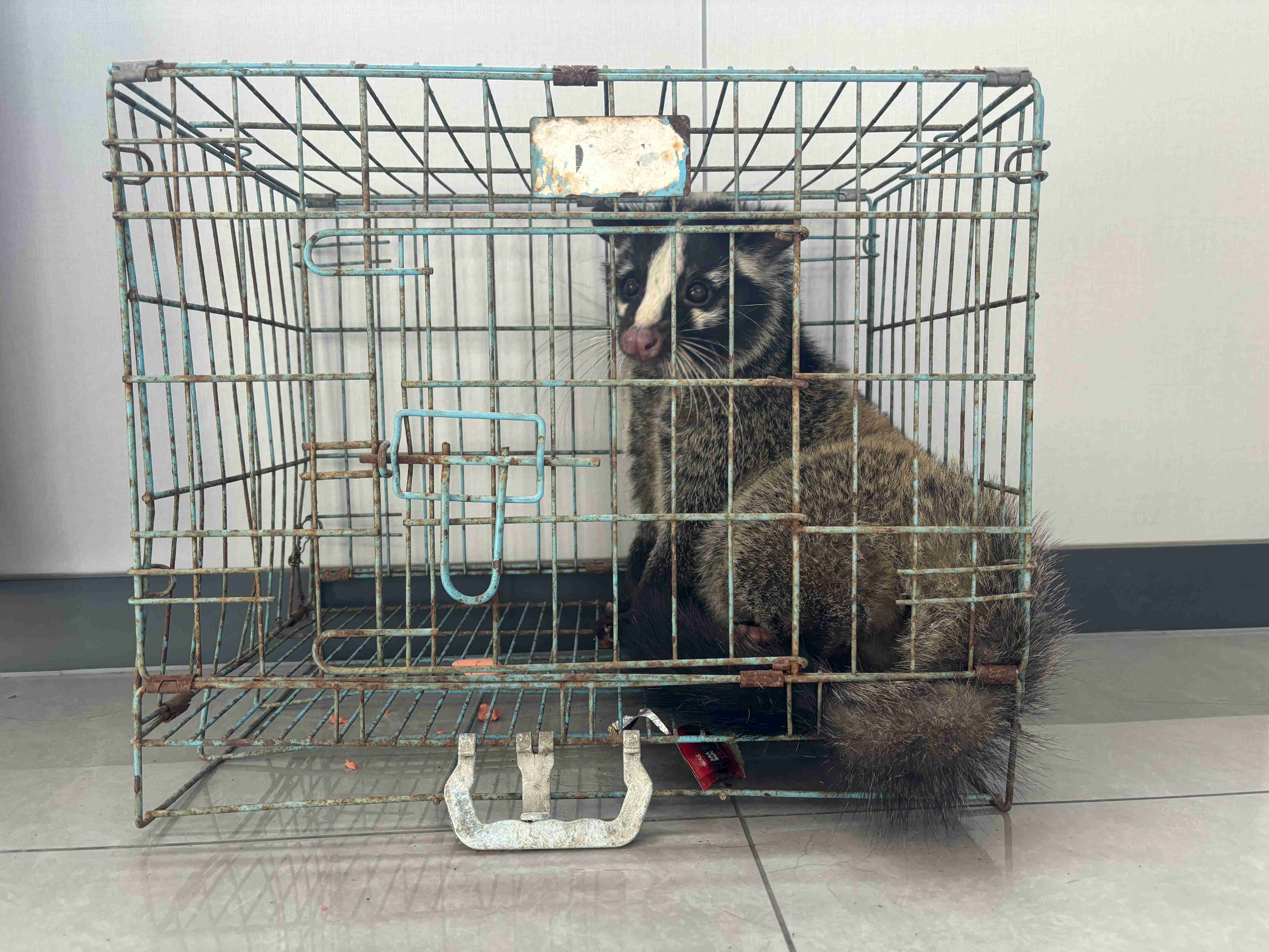 图片4.jpg 图片4.jpg