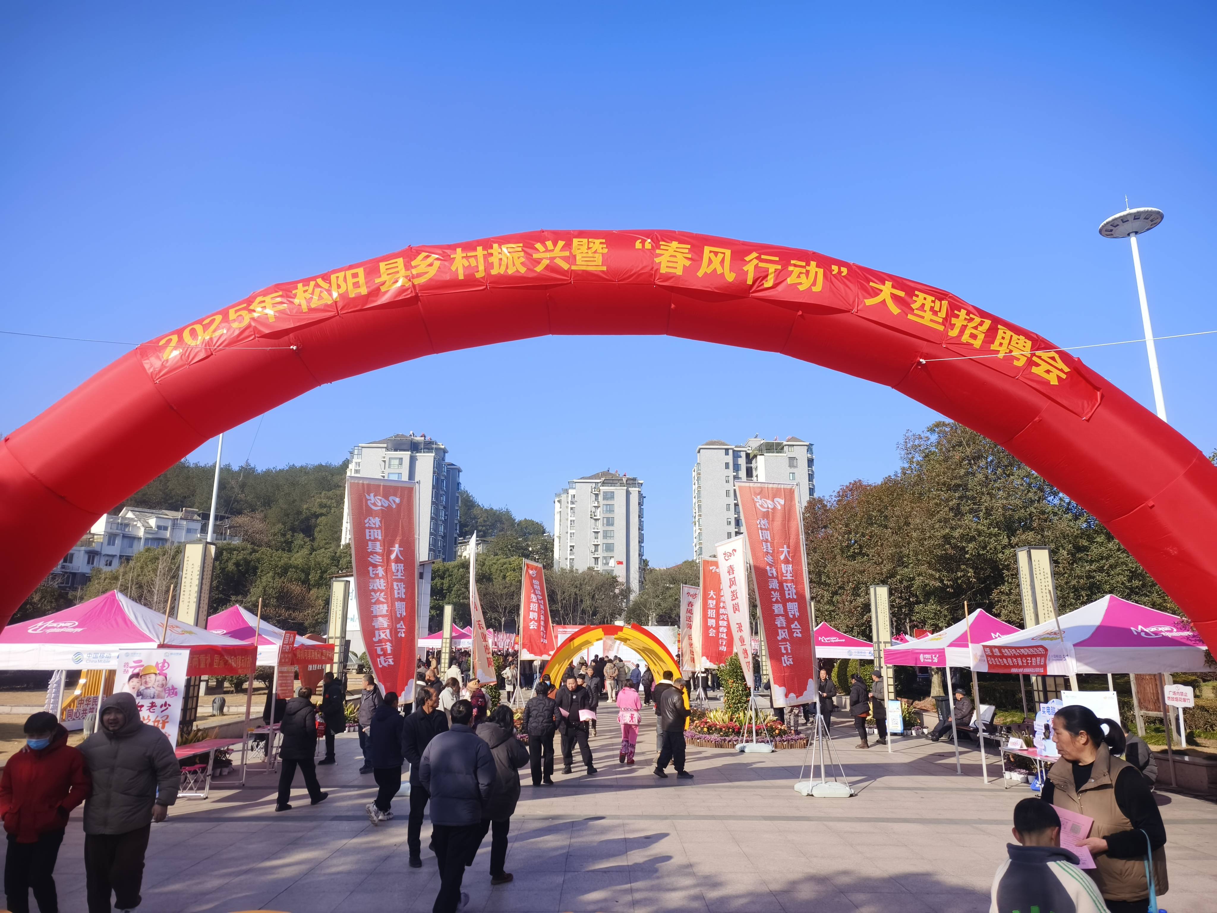 浙江松阳：春季招聘进行时 反诈宣传入人心