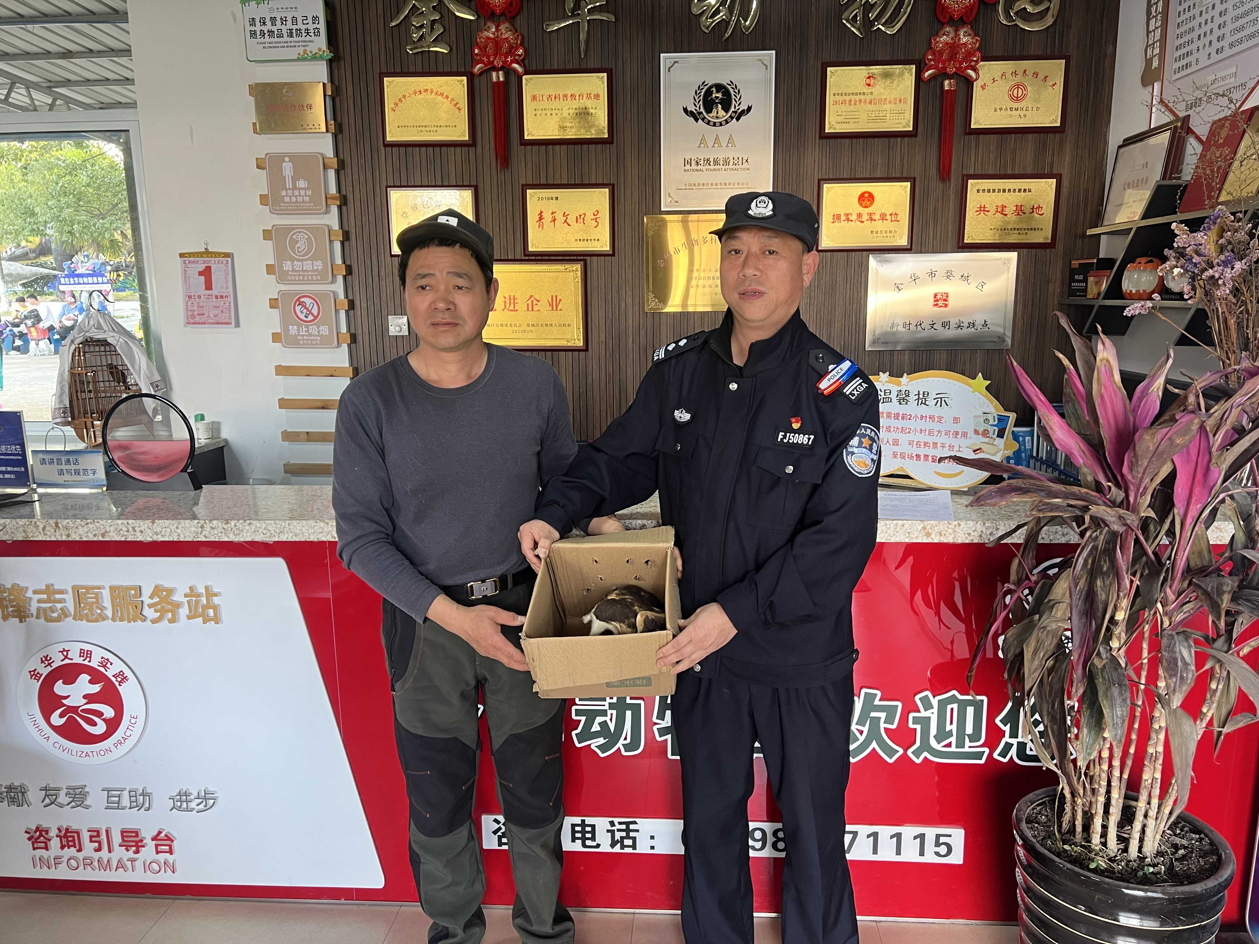 猴面鹰送往野生动物保护单位.jpg