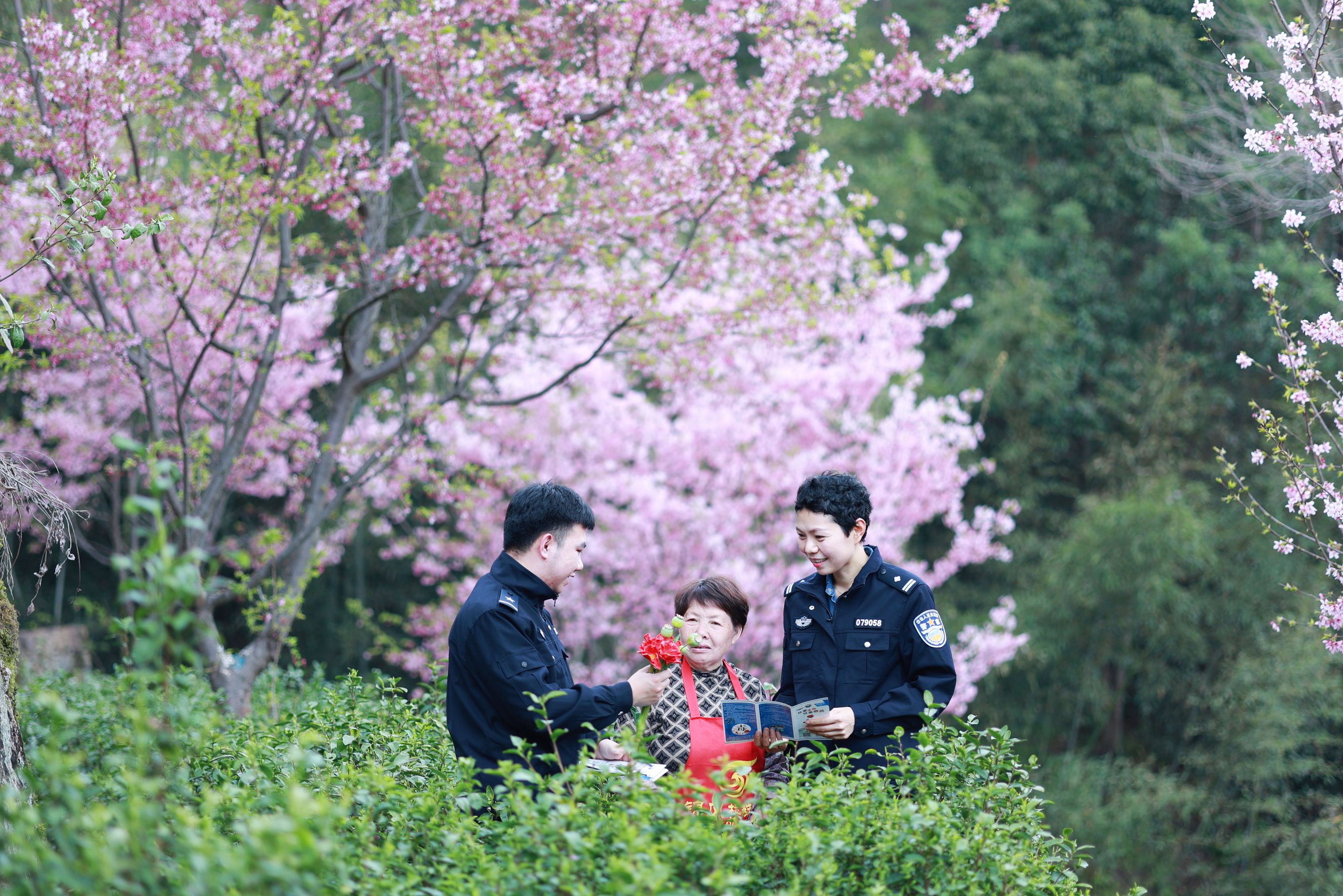 图片2.jpg 图片2.jpg
