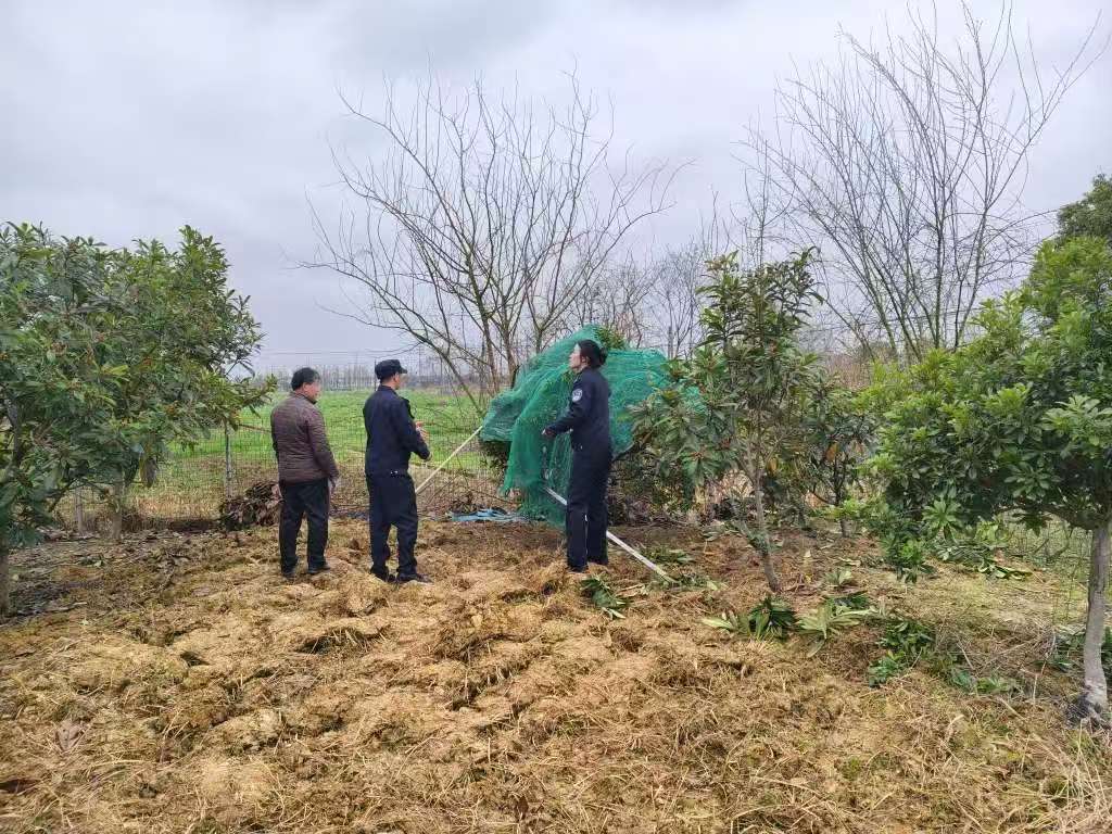浙江兰溪市经济开发区派出所：依托生态警务，共绘果农与自然和谐新图景