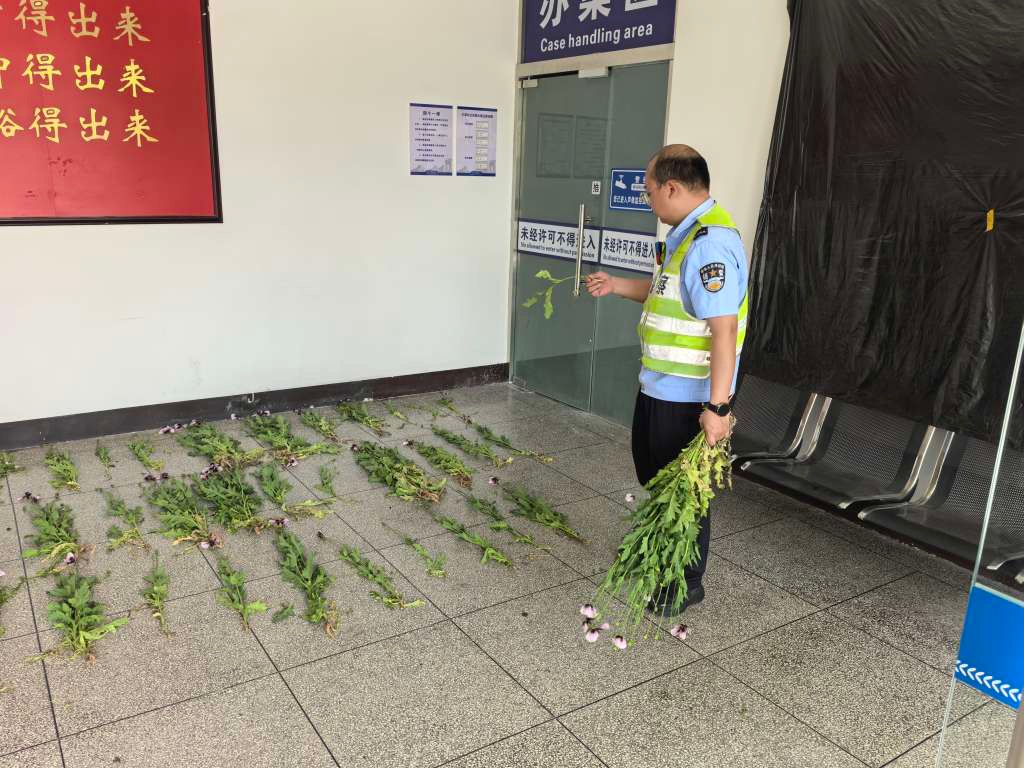 微信图片_202504101012431.jpg 微信图片_202504101012431.jpg