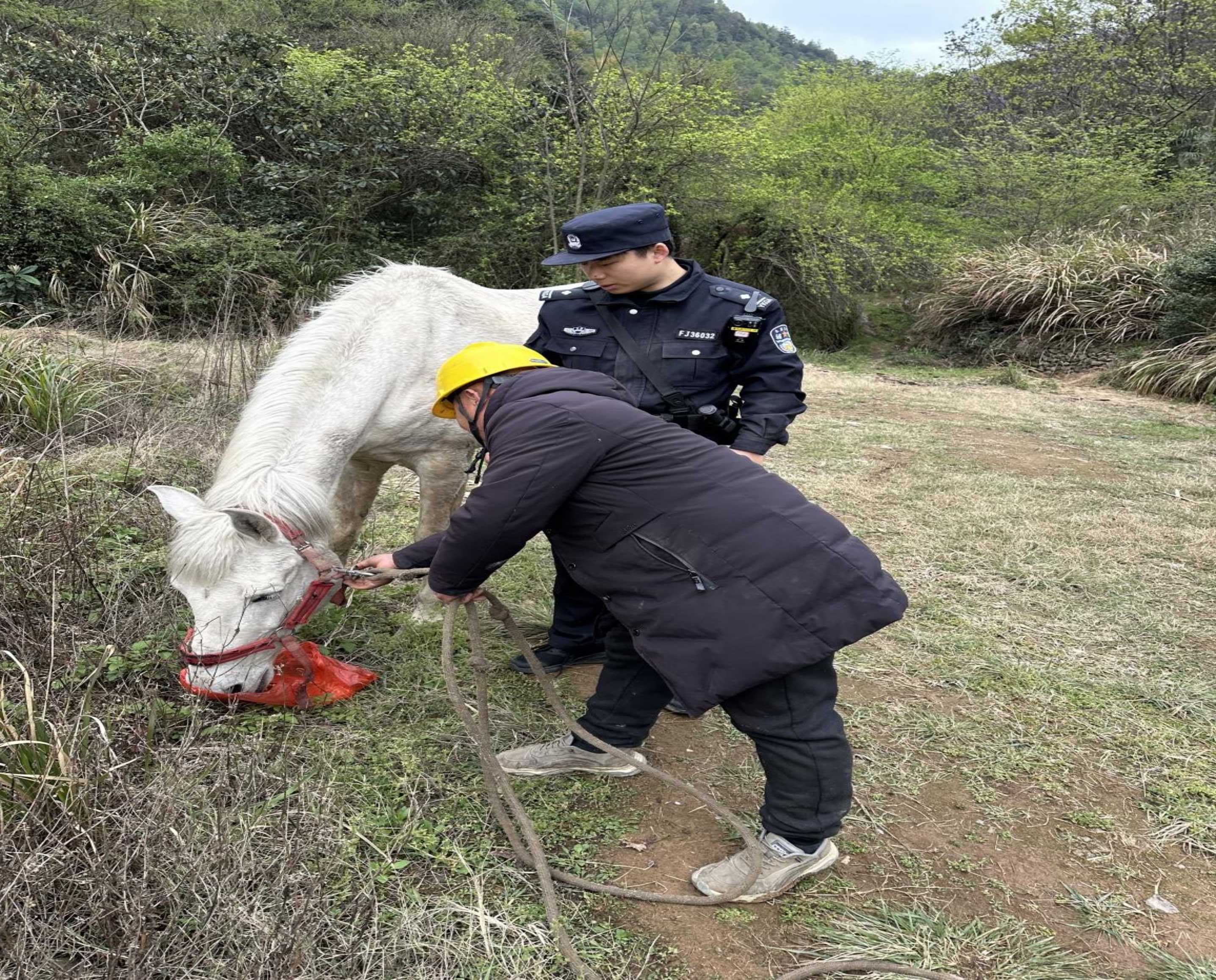 图片13.jpg 图片13.jpg