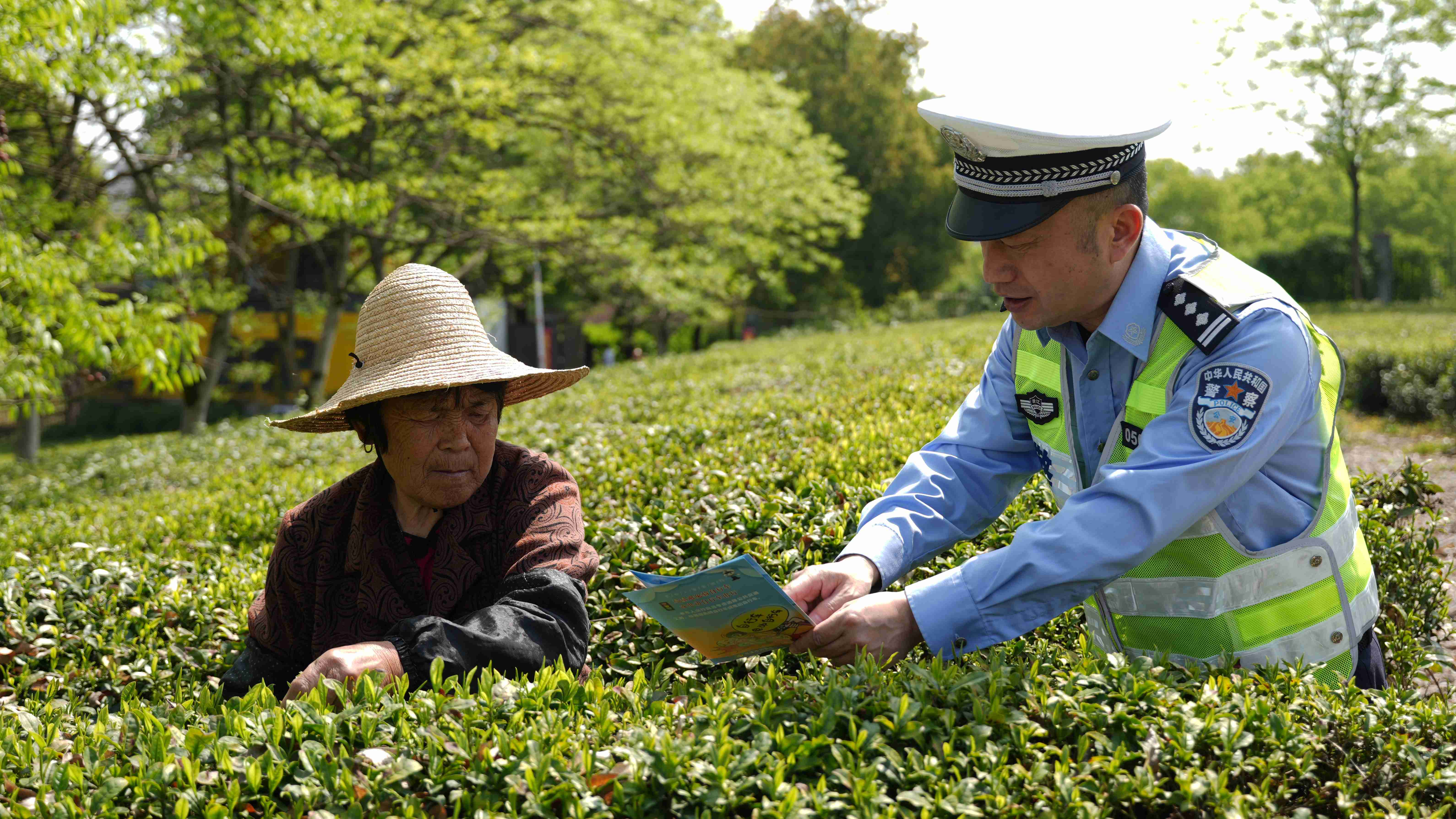 图为兰溪交警在上华街道兰湖茗茶园里与村民面对面普及交通安全知识。.jpg 图为兰溪交警在上华街道兰湖茗茶园里与村民面对面普及交通安全知识。.jpg