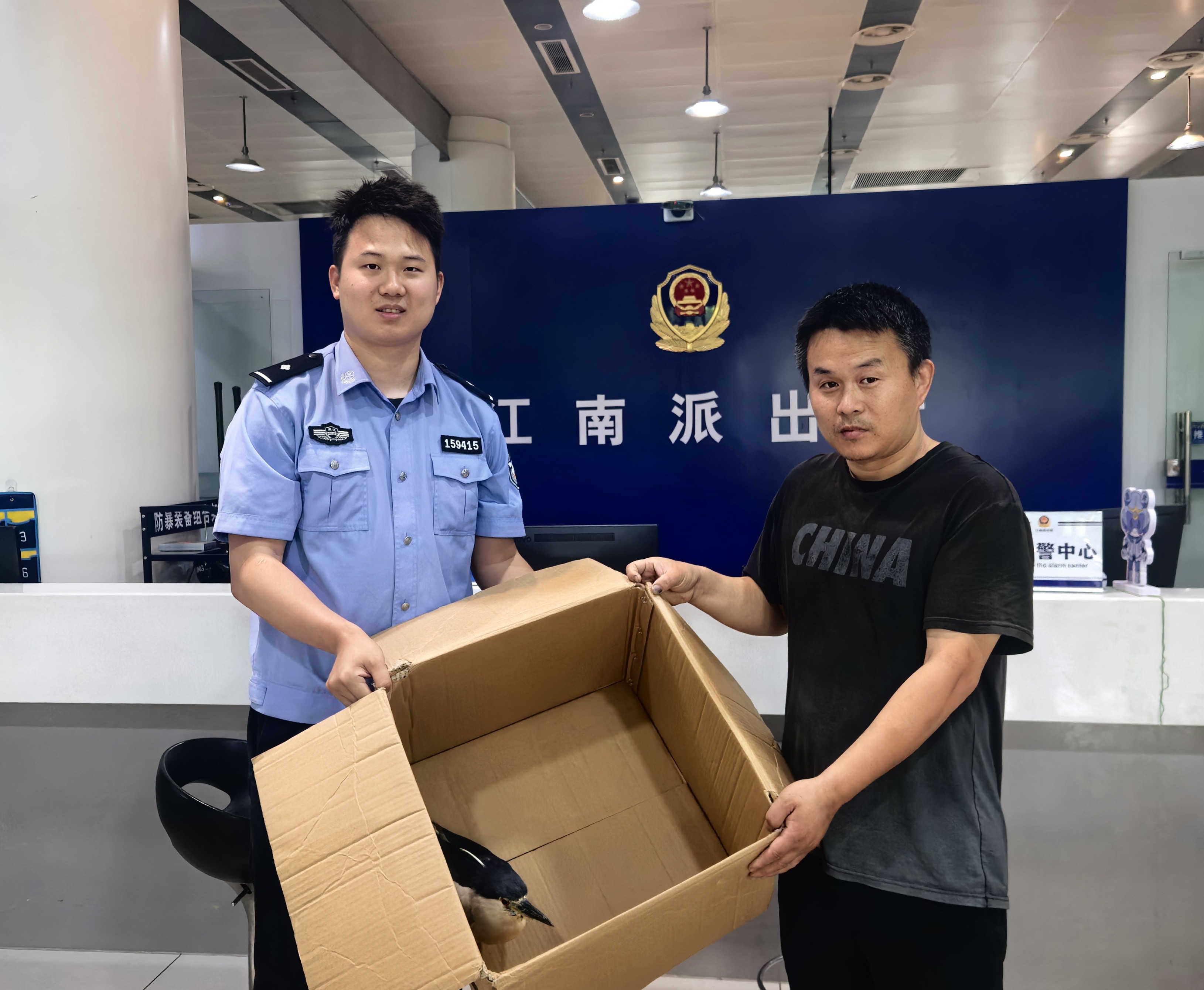 图片15.jpg 图片15.jpg