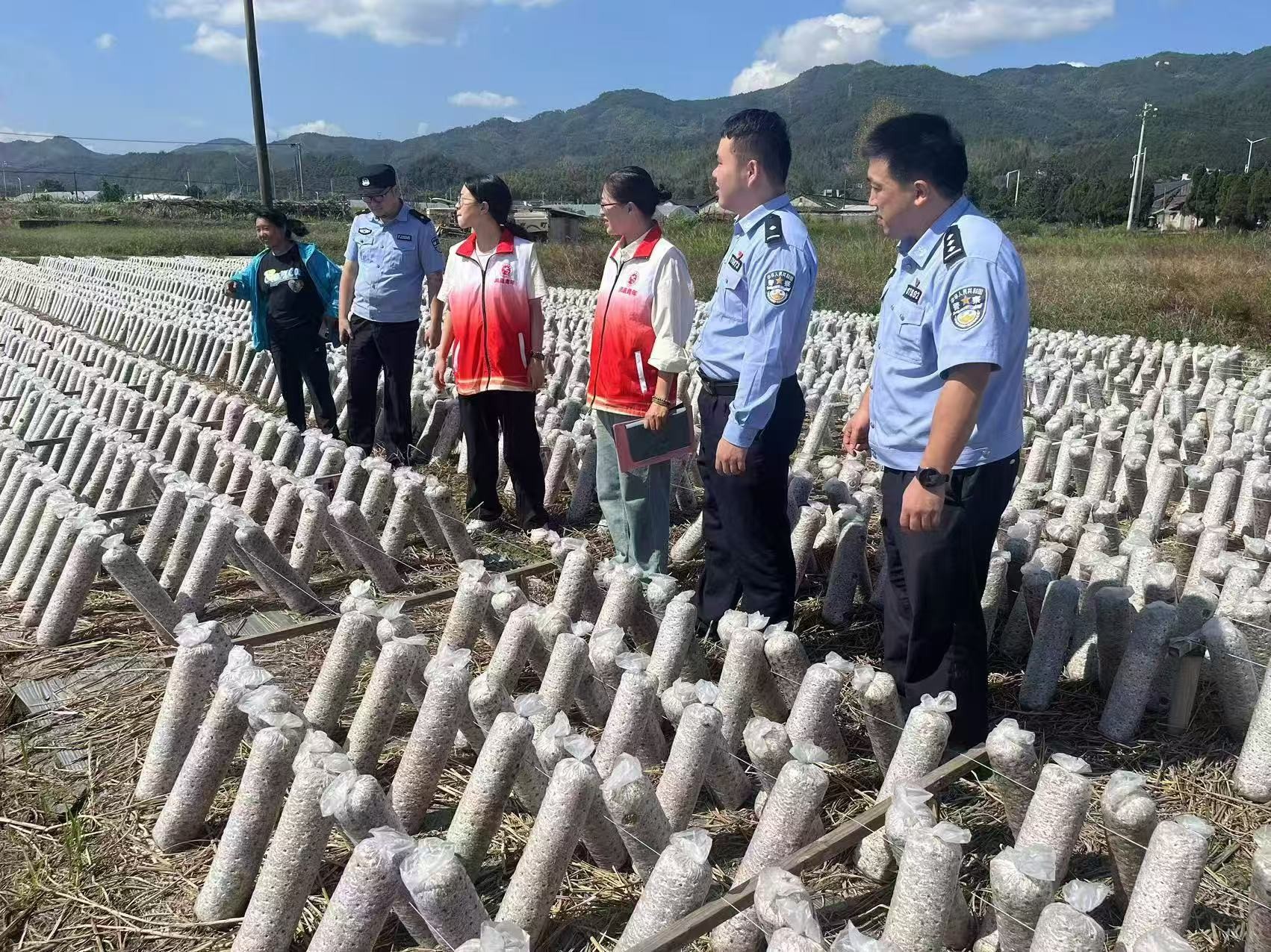 图片22.jpg 图片22.jpg