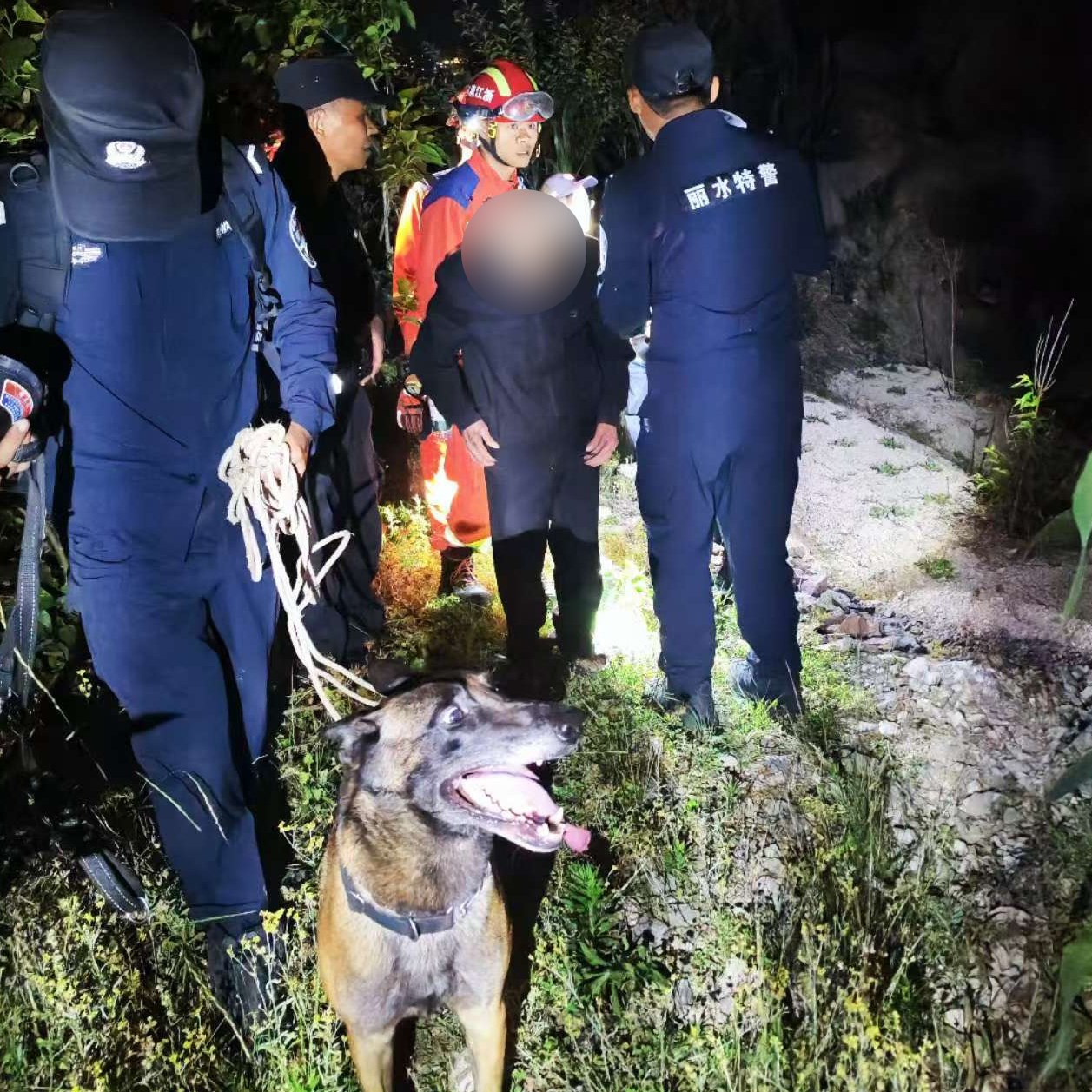 浙江丽水：九旬老人山中找回 这回立功的是警队最特殊的“它”