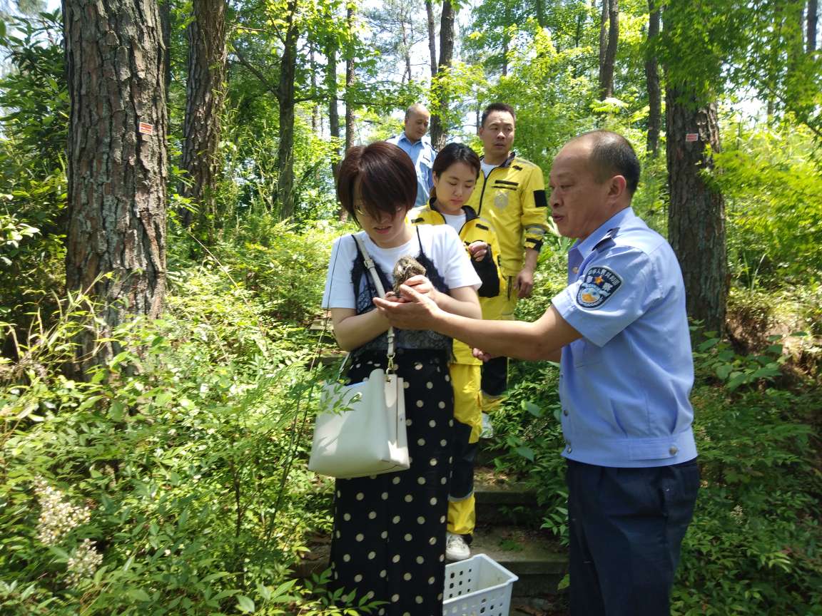 生态警长胡新华1.jpg 生态警长胡新华1.jpg