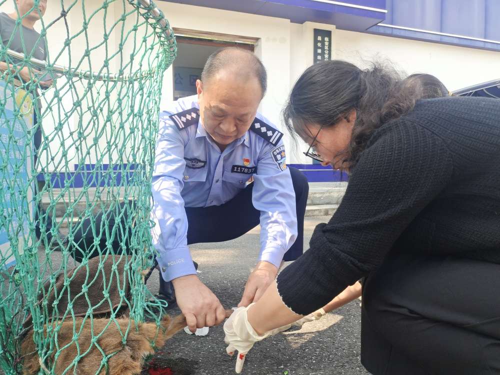 生态警长胡新华2.jpg 生态警长胡新华2.jpg